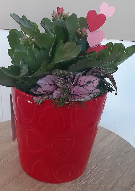 Plant Lover - Red
