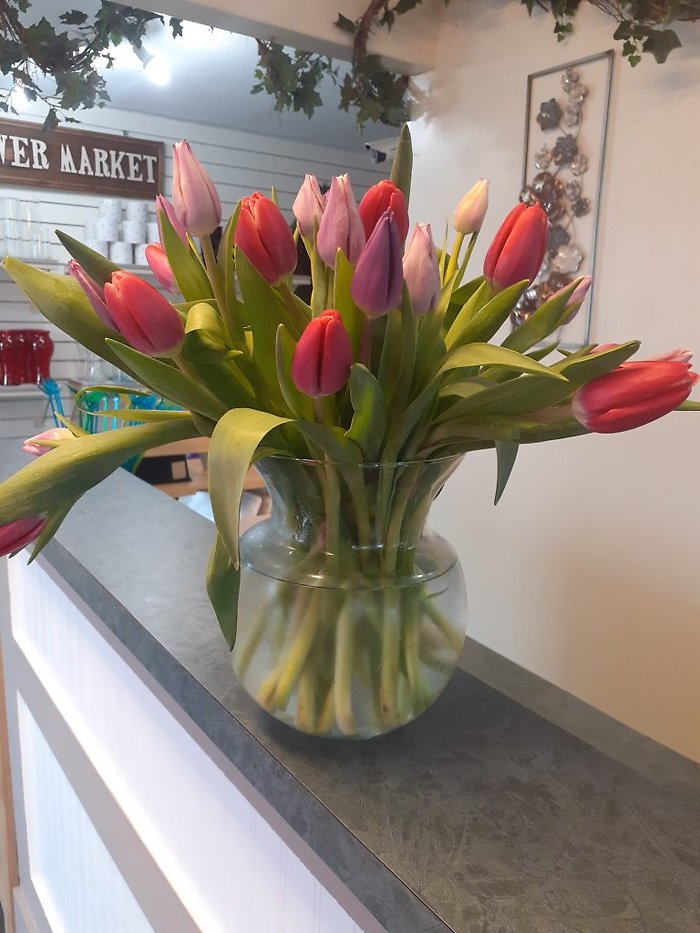 Tulips