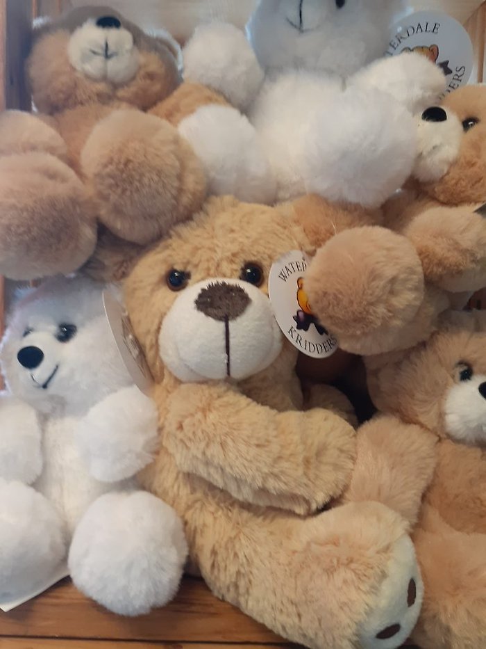 Teddy Bears - Assorted